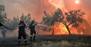 Μεγάλη φωτιά στον Όλυμπο πάνω από την Κρυόβρυση Καρυάς